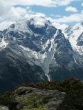 Ortler-Panorama vom Wormisionsteig